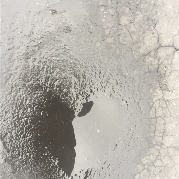 Meet your Posher, Martha - Picture 1 of 1